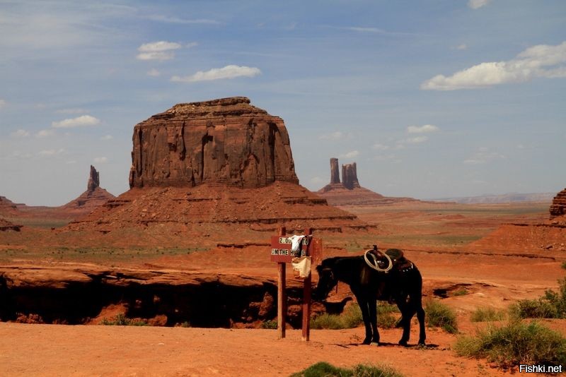 Wild desert. Прерия дикий Запад. Прерии дикого Запада. Дикий Запад пустыня.