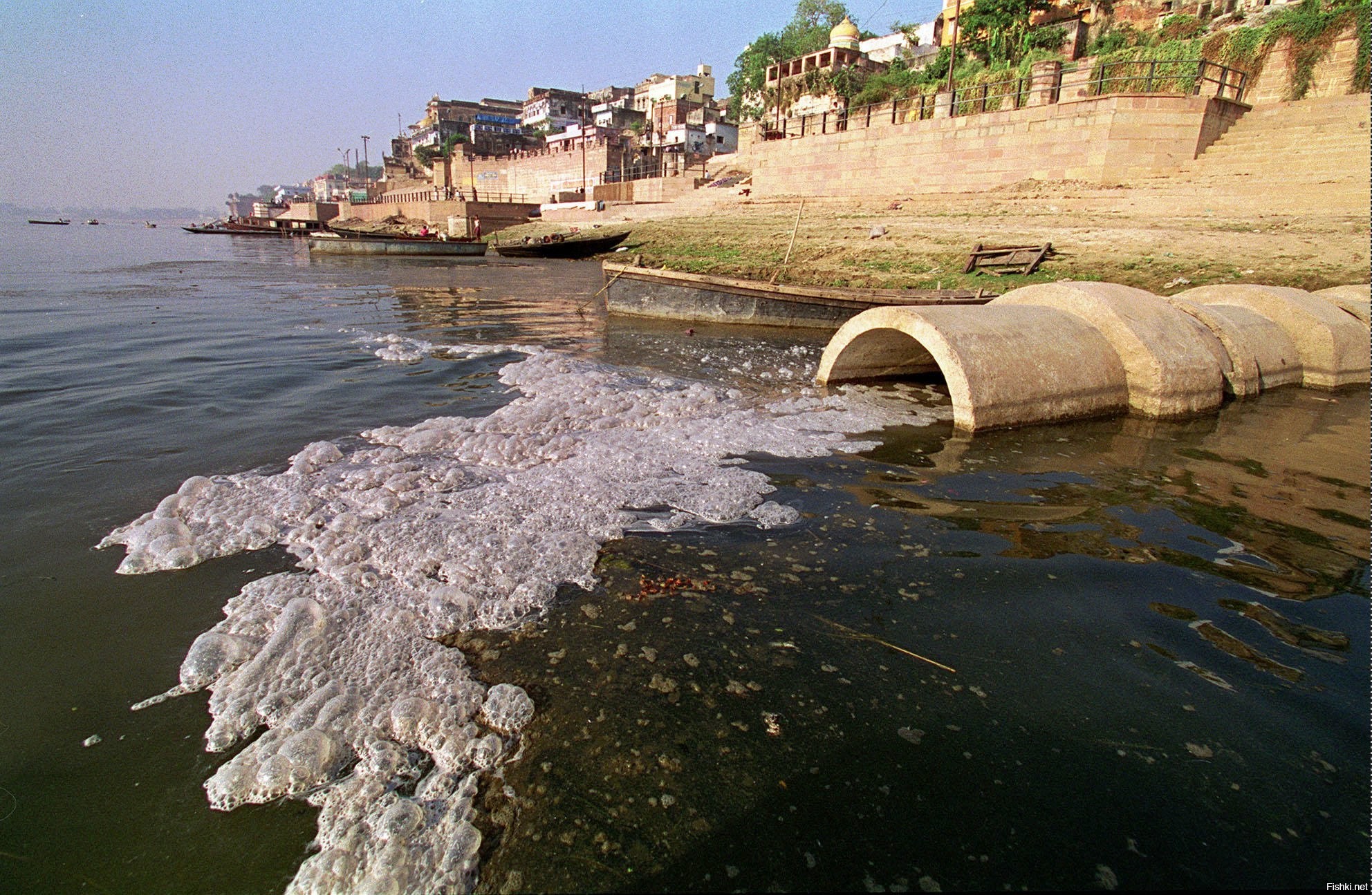 Рост загрязнения воды