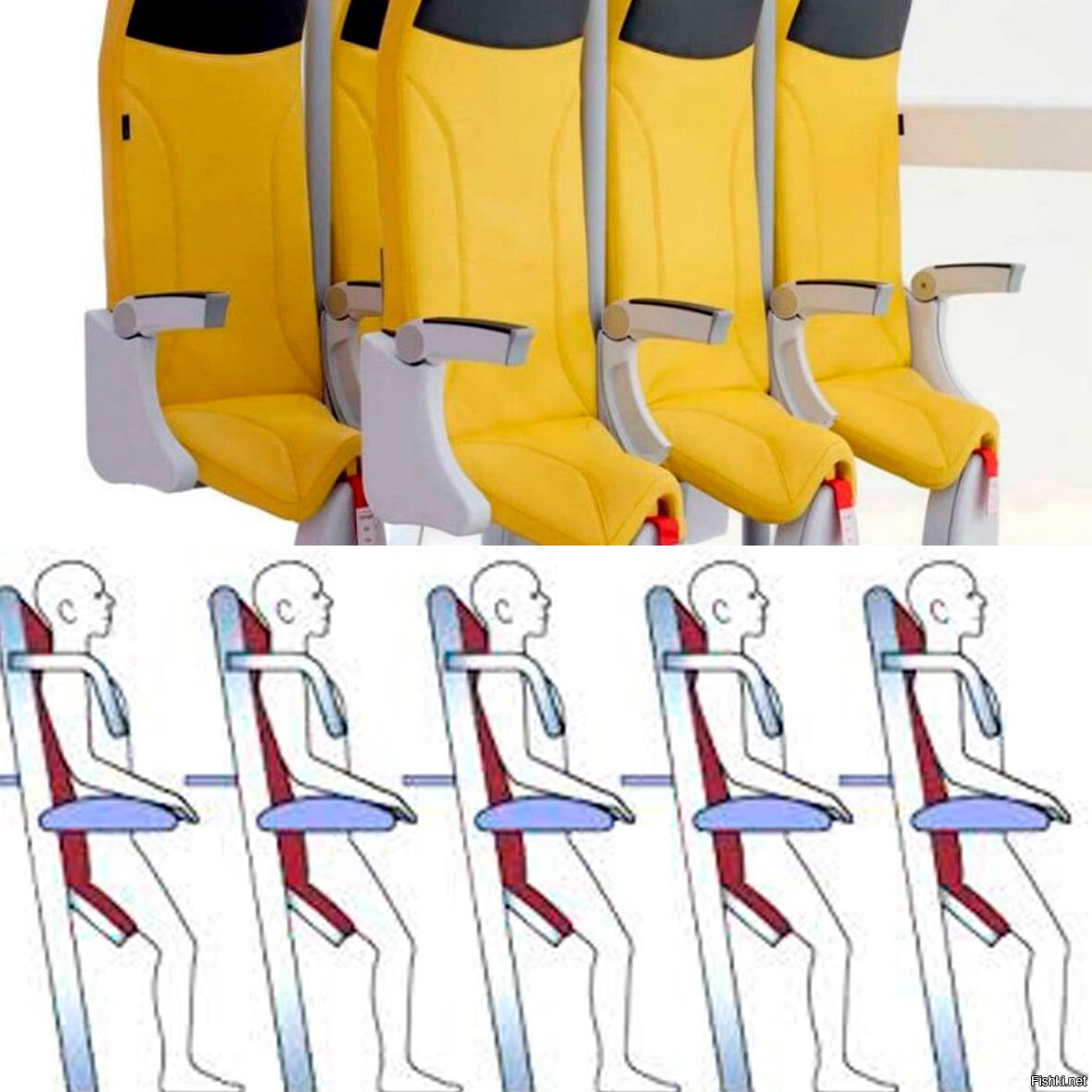 Стоячие кресла авиакомпания победа