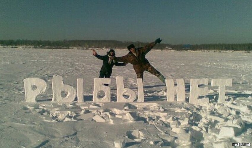 Здесь рыбы нет картинки