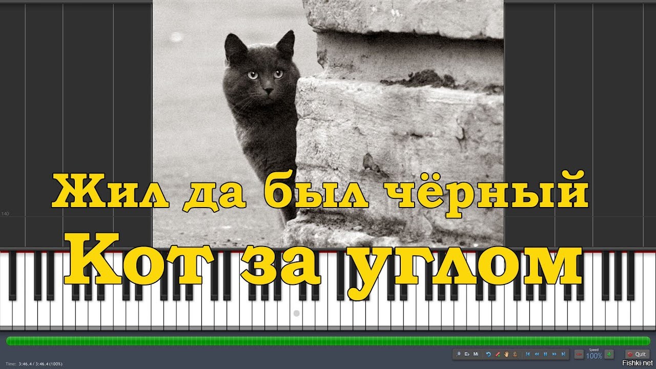 Текст песни жил да был черный. Черный кот на пианино. Жил да был чёрный кот за углом. Черный кот на фортепиано. Чёрный кот песня.