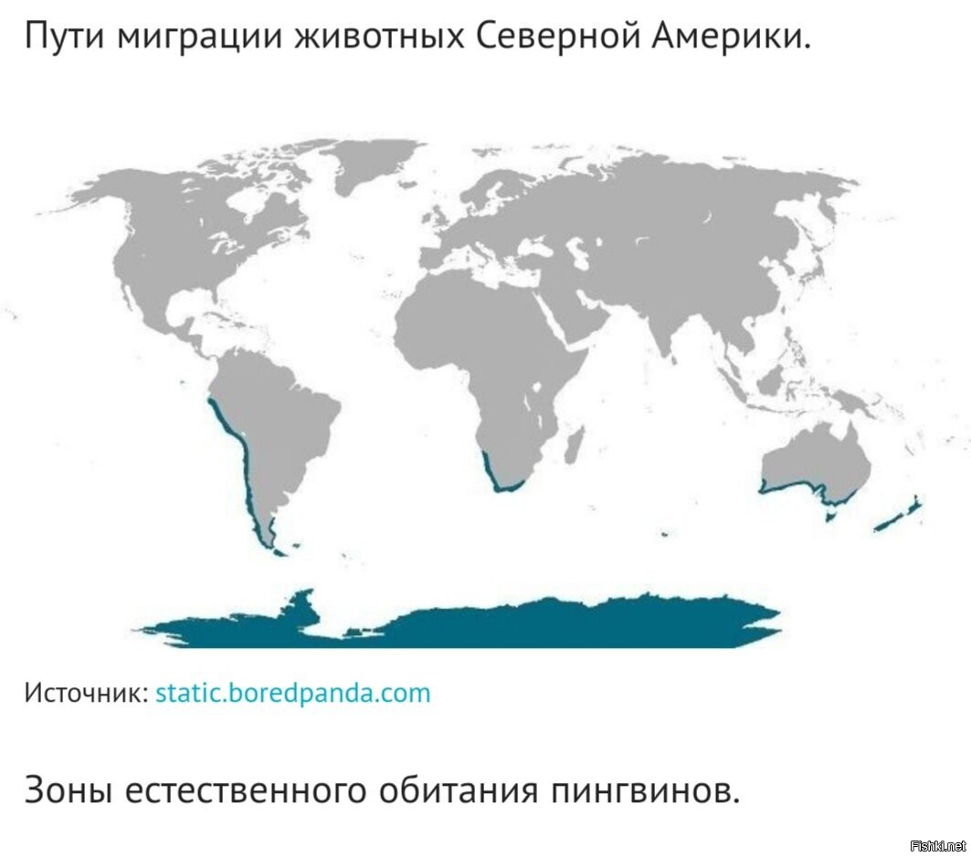 Карта которая работает по всему миру