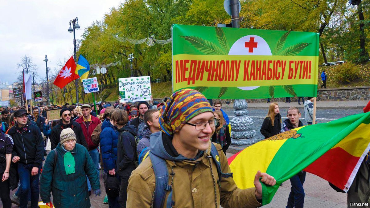 В украине легализировали марихуану сколько марихуана держится в организме человека