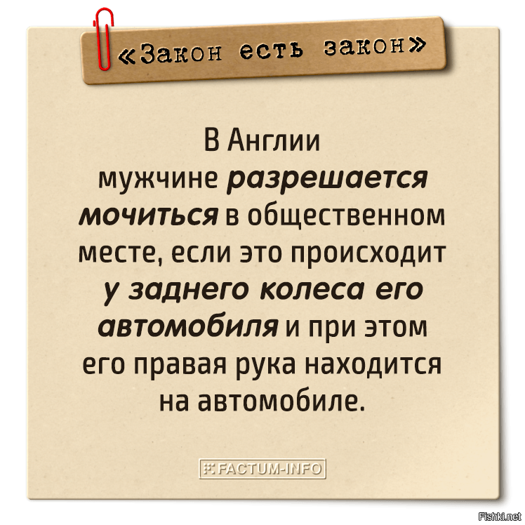 Факт закон. Интересные законы. Необычные законы в разных странах. Смешные законы. Глупые законы мира.