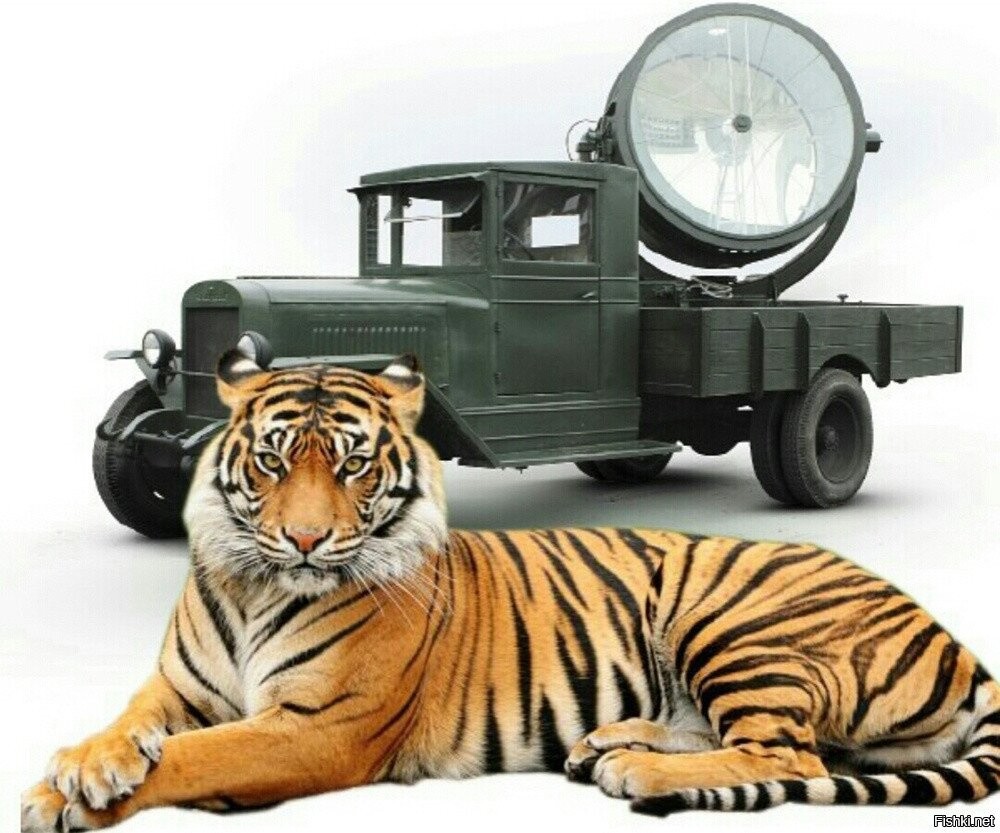 Тигр с прожектором