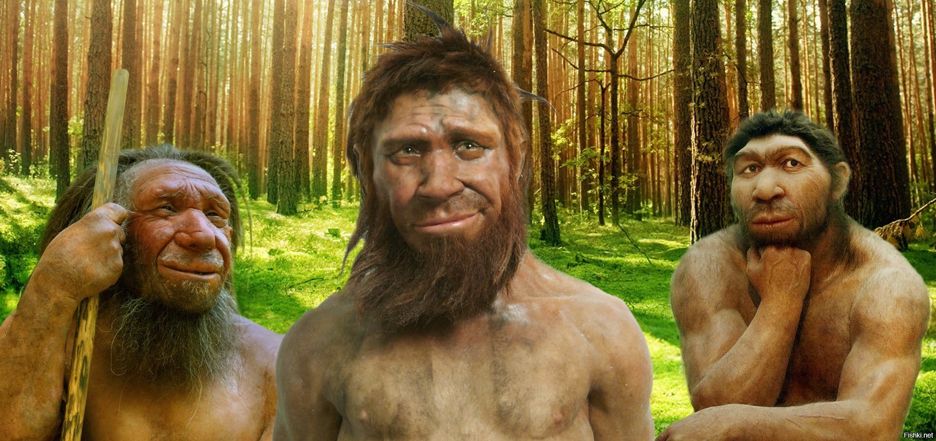 Ген неандертальца у современного человека фото