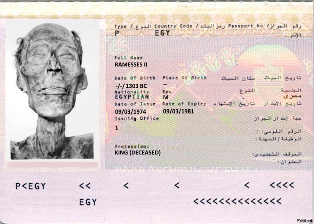 РАМЗЕС 2 паспорт во Франции