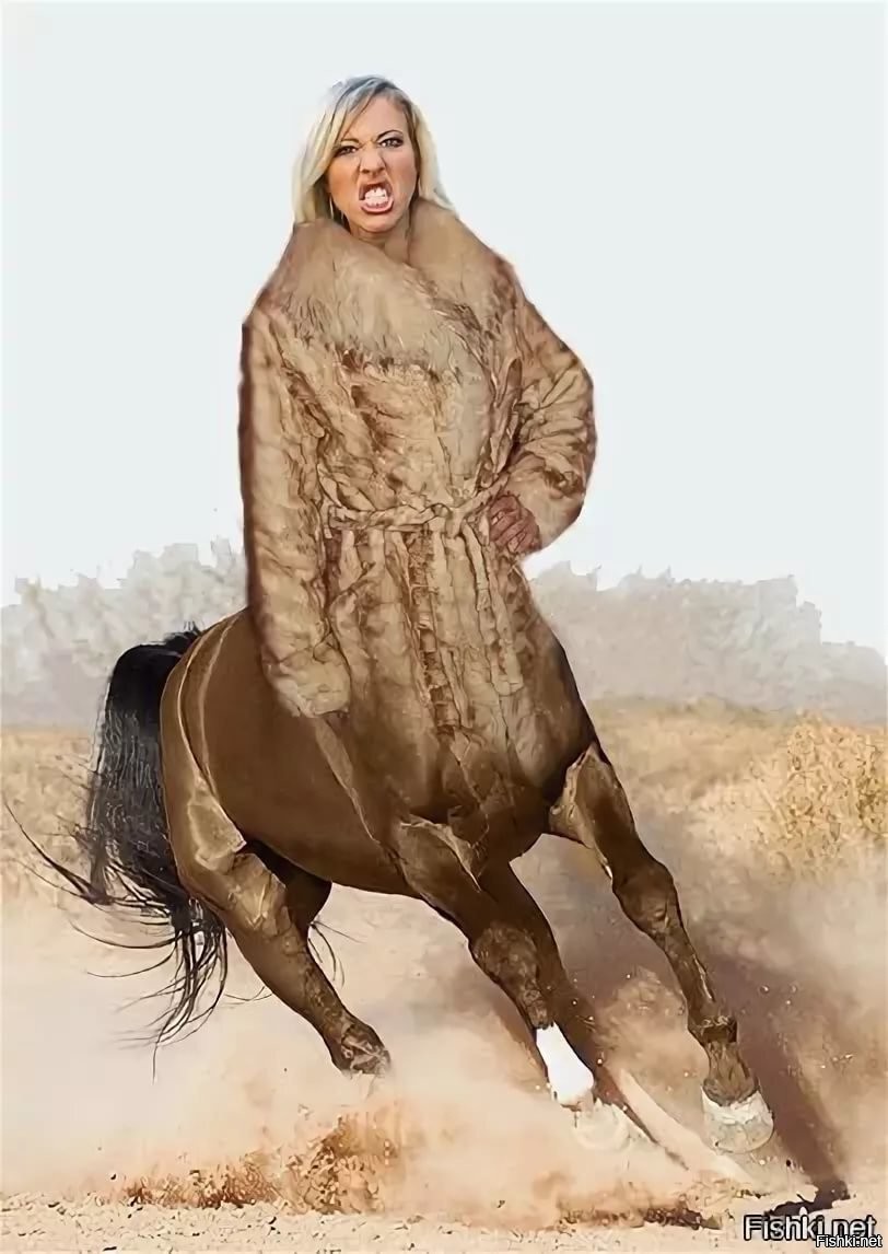 Конь а пальто