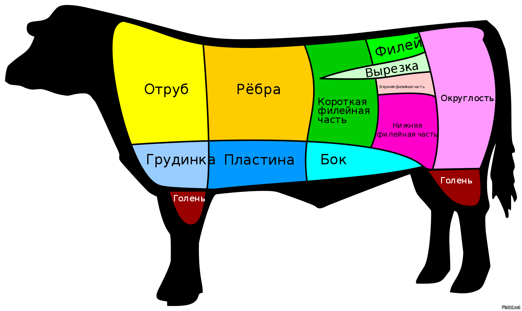 говядина части мяса название фото