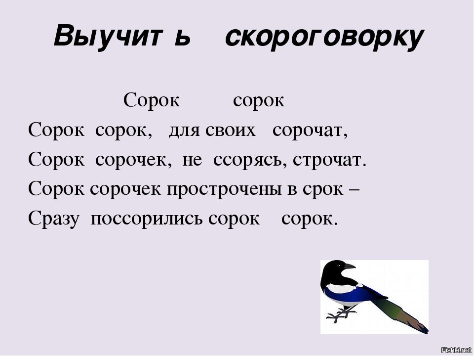 40 предложений. Сорок сорок скороговорка. Скороговорка про сороку. Скороговорки про сорок. Сорок сорок сорок сорок для своих сорочат.