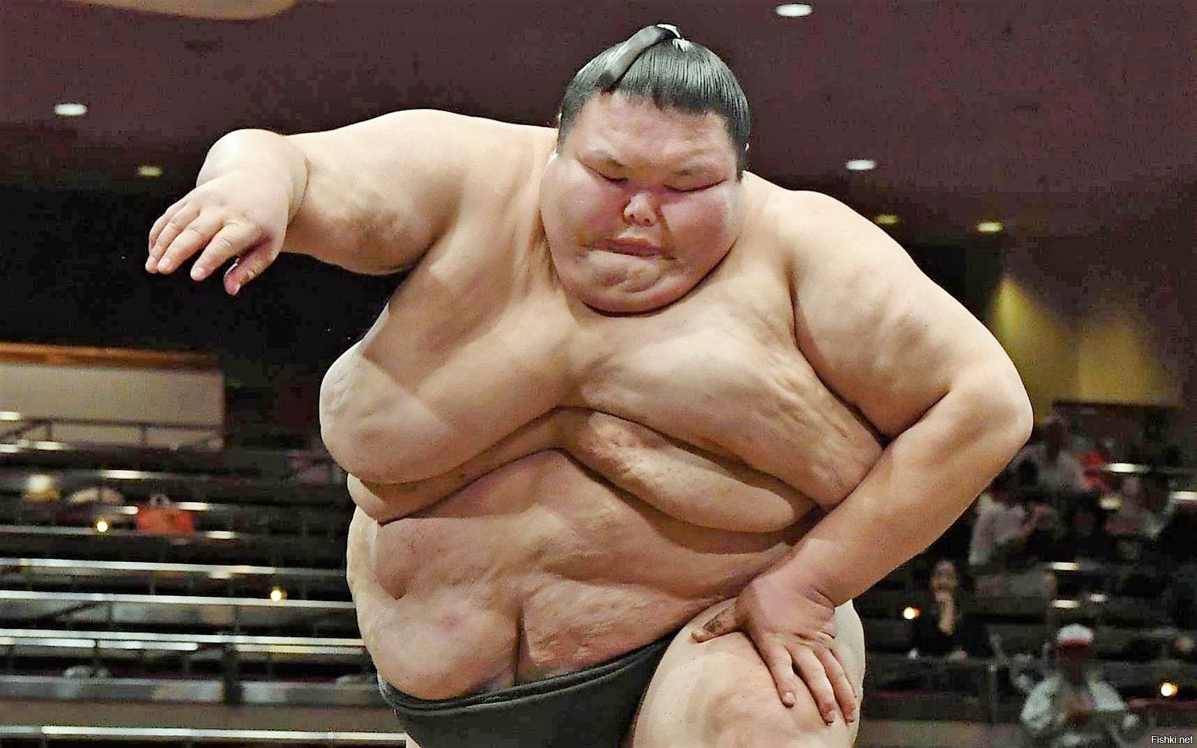 Качка хаги ваги. Орора Сатоси борцы сумо.