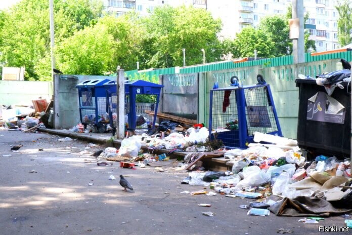 Мусор На Улице Фото