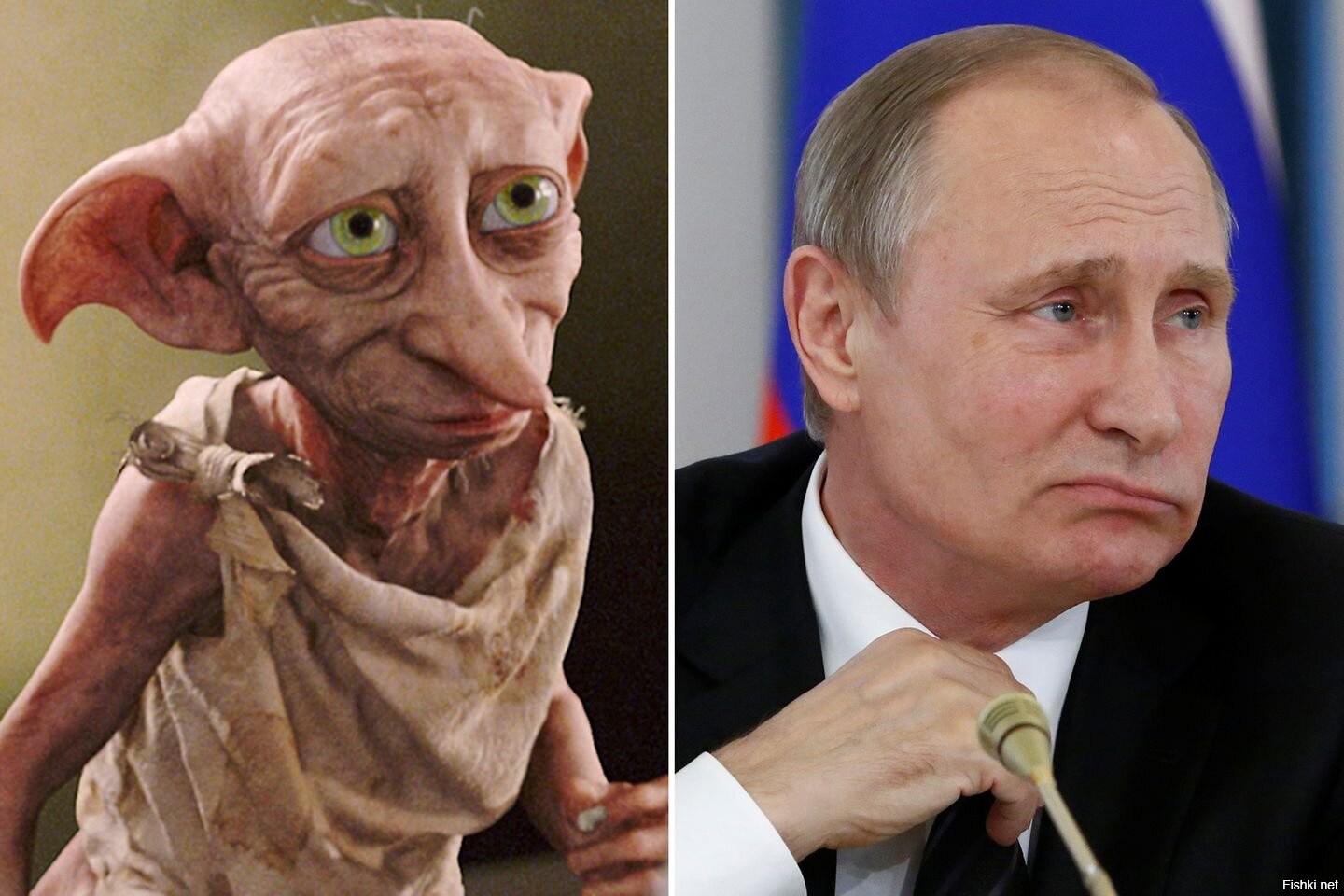 Тоби Гарри Поттер и Путин
