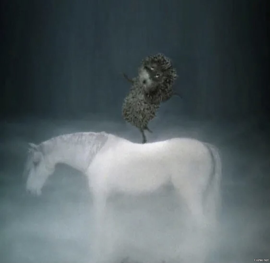 Мультфильм Ежик в тумане и лошадь