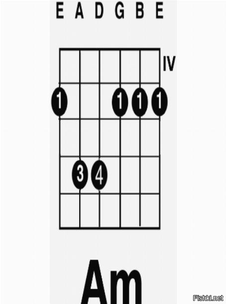 Пятый лад аккорды. Am Аккорд на гитаре баре. Аккорд ам баре 5 лад. Аккорд am с БАРРЭ. Аккорд am на гитаре с БАРРЭ.