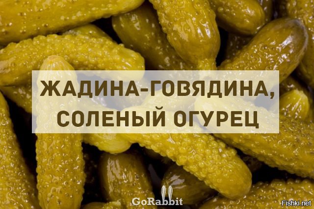 Песня огурец. Жадина говядина соленый огурец. Жадинаьговядинат соленый.огурец. Жадина говядина соленый. Жадина говядина продолжение.