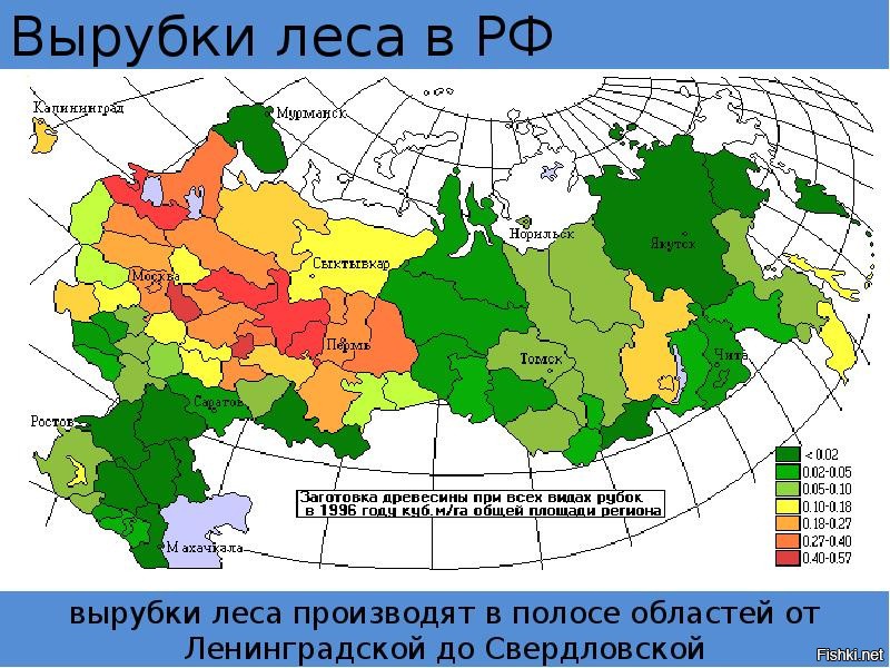 Карта вырубки лесов в мире