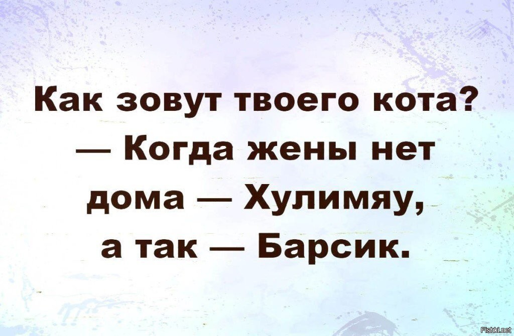 Зови как хочешь. Как зовут вашего кота анекдот. Хулимяу как кота зовут анекдот. Как зовут вашего кота днем или в пять утра. Как зовут вашего кота прикол.