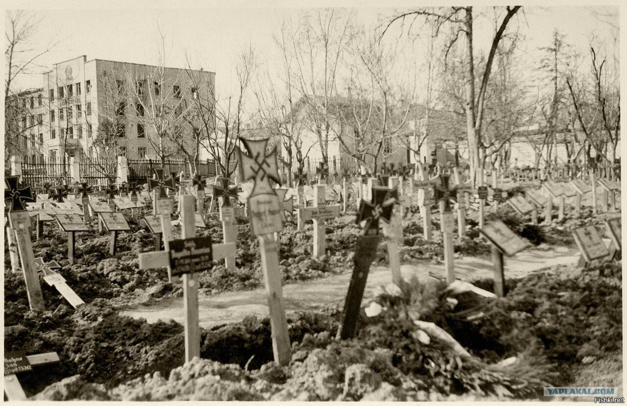 Немецкое кладбище в Брянске