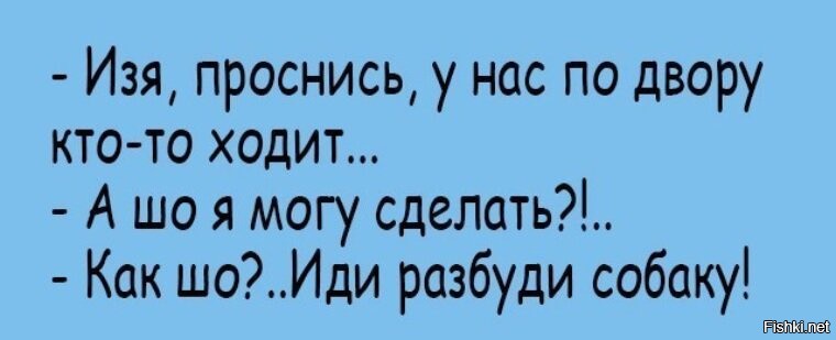 Буди пойдем. Анекдоты про Изю. Анекдот Изя все. Иди Разбуди собаку анекдот. Изя Проснись у нас во дворе кто-то ходит.