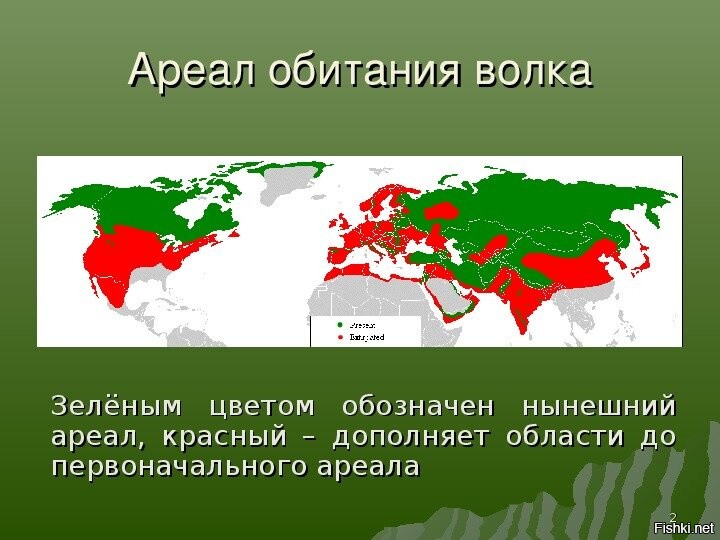 Карта ареала обитания