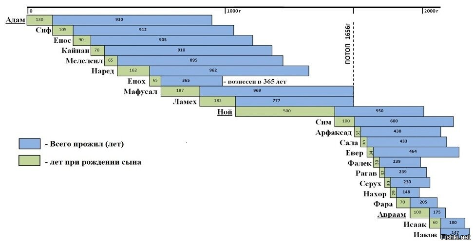 Сколько лет жили люди. Библейская хронология от Адама. Родословие от Адама до ноя. Ветхий Завет родословная от Адама до Иисуса. Библейская хронология от Адама до Иисуса.