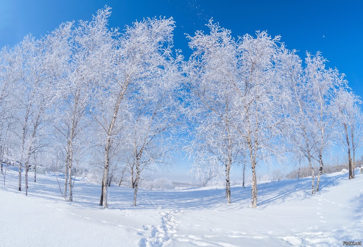 Русская зима фото