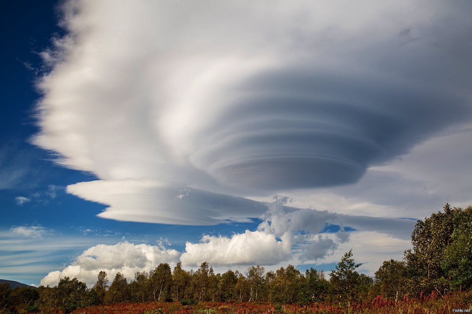 Облако неведомых. Линзовые облака в Якутии. Лентикулярные облака на Камчатке. Якутия линзовые облака редчайшее явление природы. Лентикулярные (линзовидные) облака.